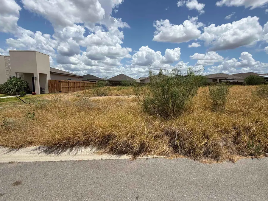1427 El Zarape Ln., Laredo, TX 78046 - #3