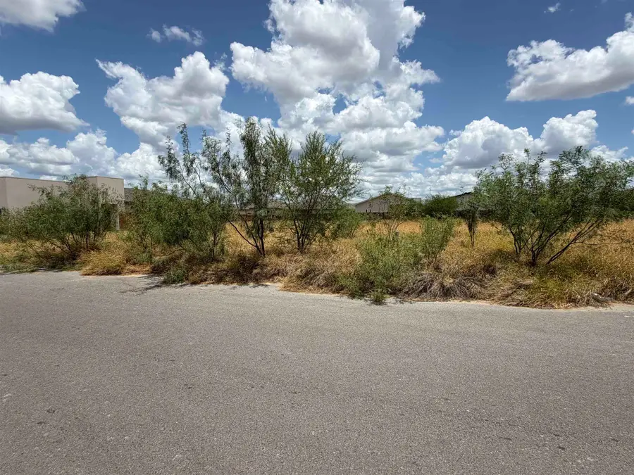1425 El Zarape Ln., Laredo, TX 78046 - #3