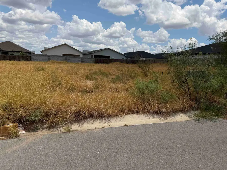 1423 El Zarape Ln., Laredo, TX 78046 - #3
