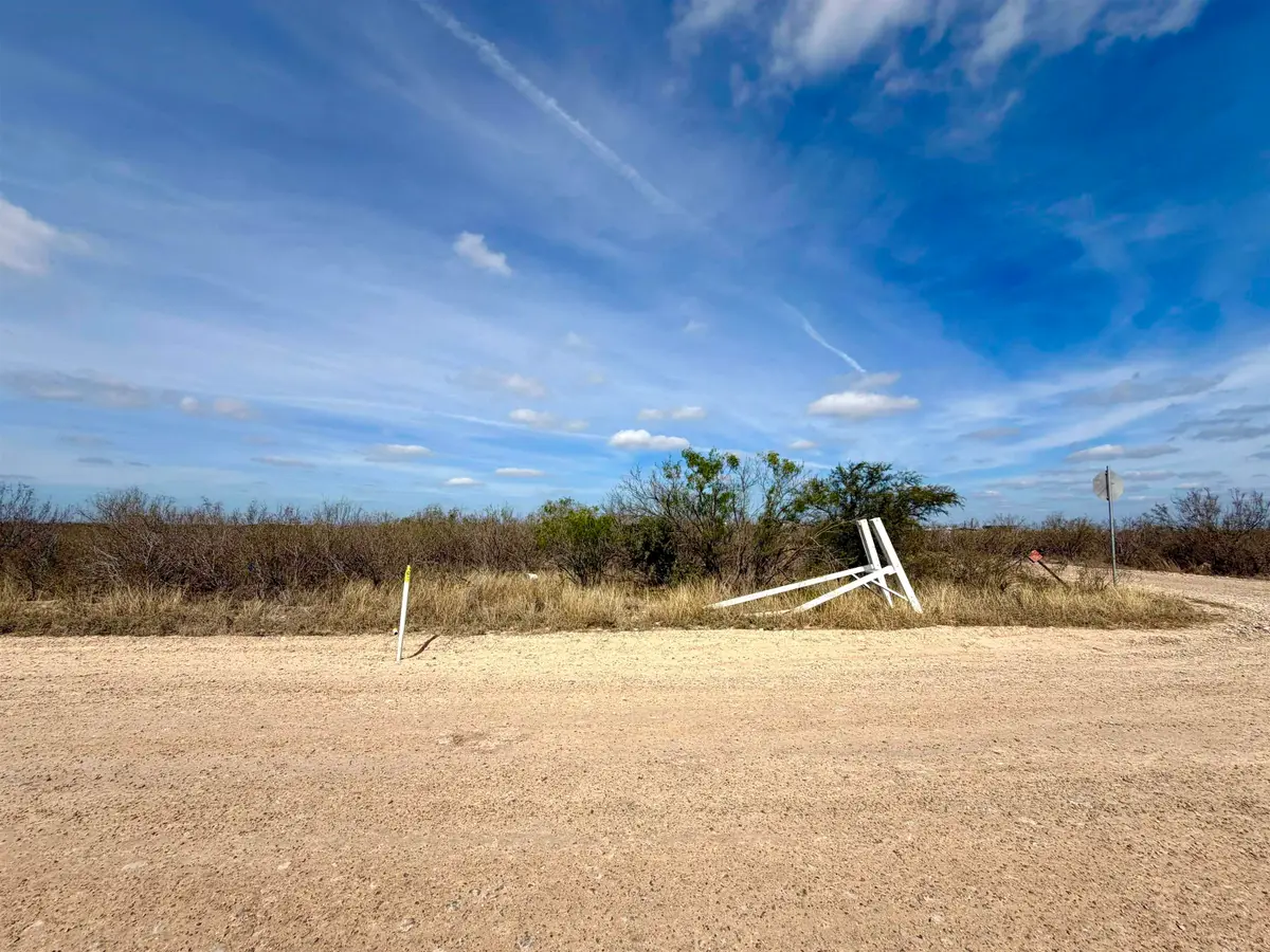 LOT 1 Colorado Acs Sur, Laredo, TX 78041 - #1