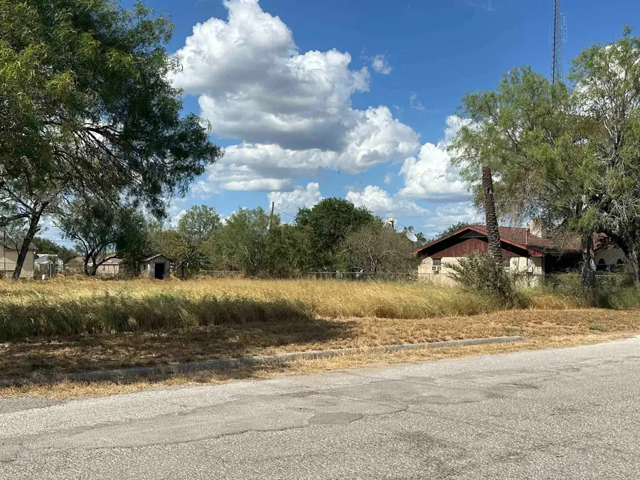 303 E David, Hebbronville, TX 78361 - #2