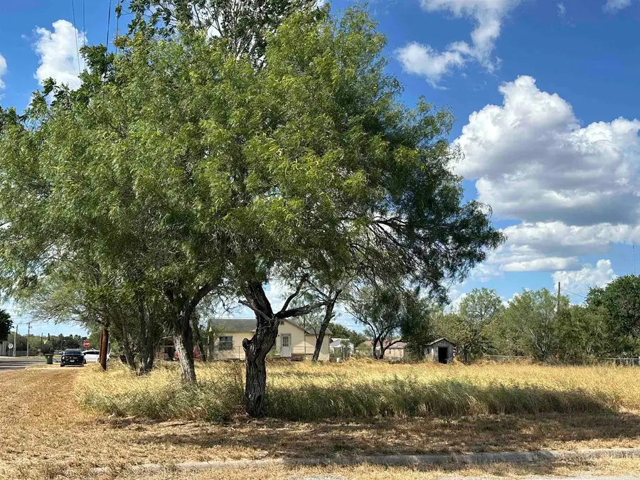 303 E David, Hebbronville, TX 78361 - #3