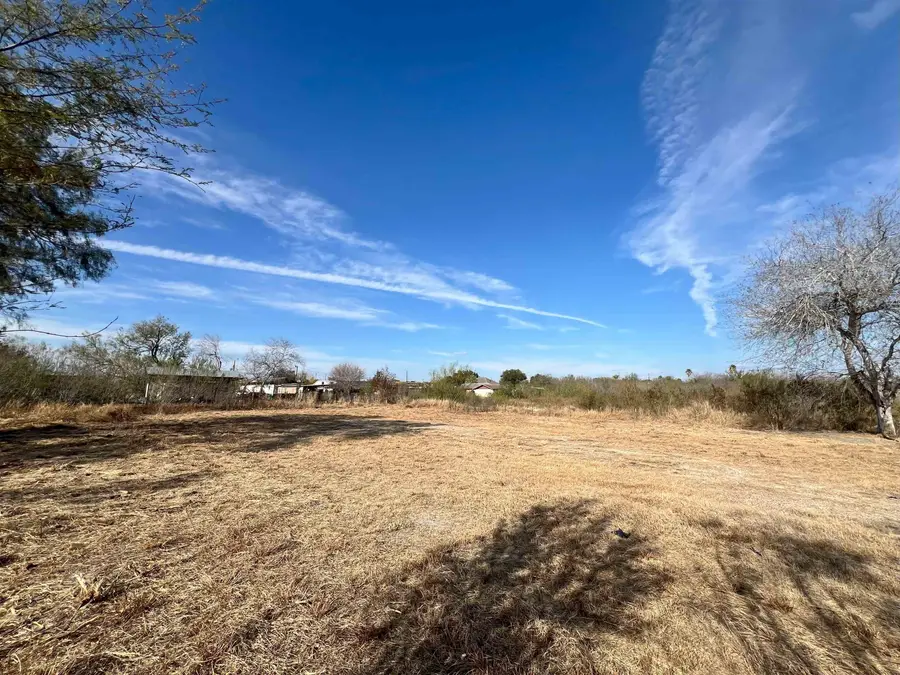 705 E 11th Ave, Zapata, TX 78076 - #3