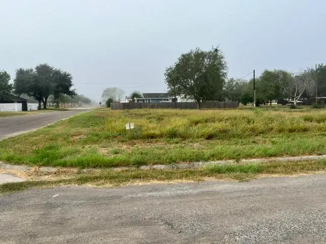 1101 W Viggo St, Hebbronville, TX 78361 - #1