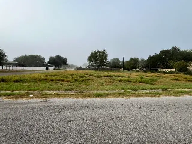 1101 W Viggo St, Hebbronville, TX 78361 - #2