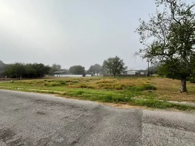 1101 W Viggo St, Hebbronville, TX 78361 - #3