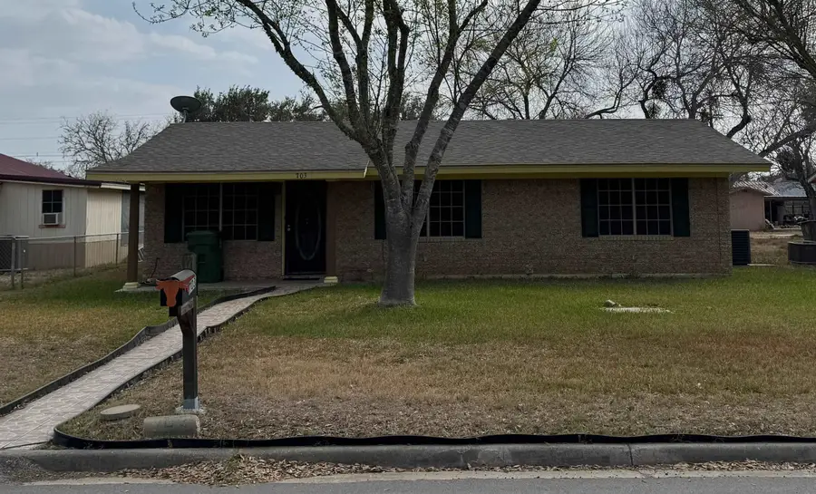 703 W Viggo St, Hebbronville, TX 78361-4125 - #2