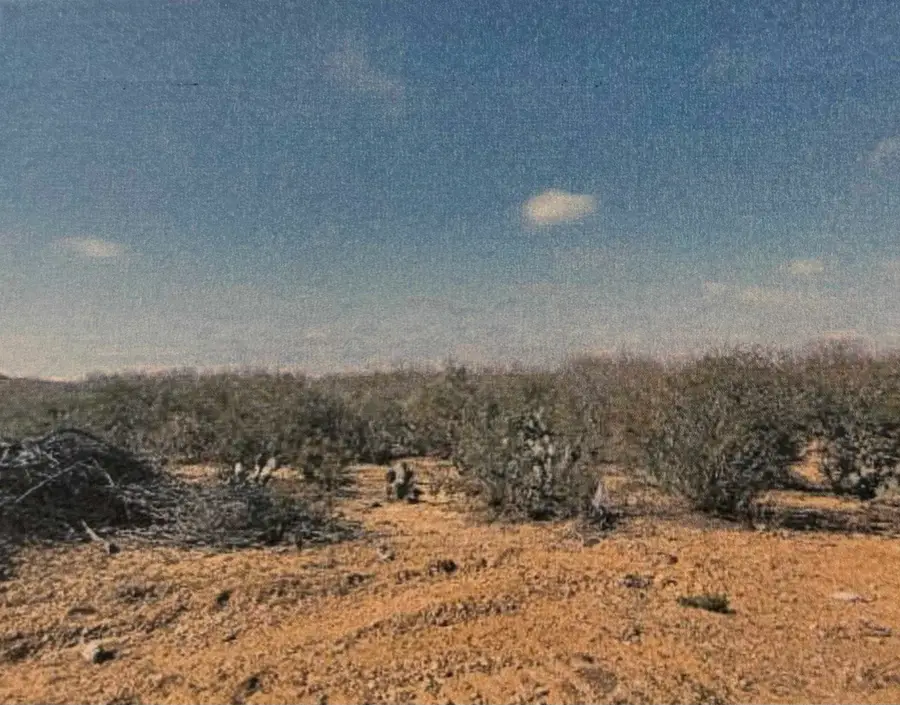 000 Cuatro Vientos Blvd, Laredo, TX 78046 - #2