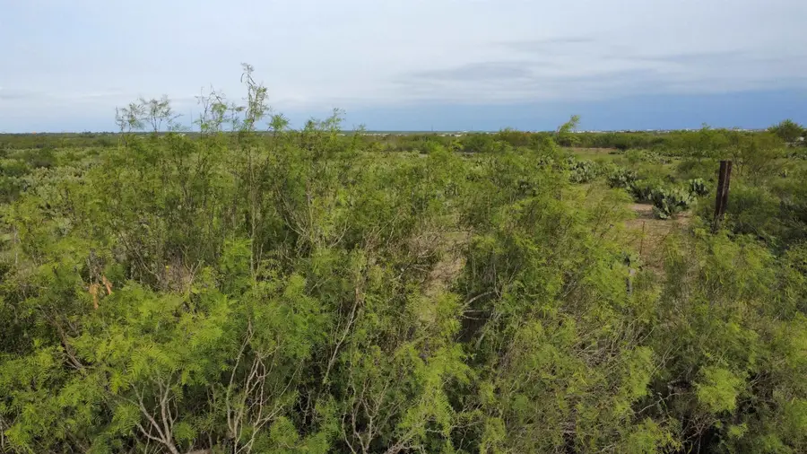 000 Ranch Road 7132D, Laredo, TX 78041 - #2