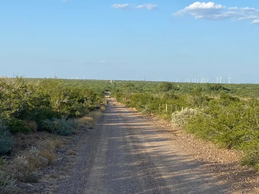 2818 Ranch Rd, San Ygnacio, TX 78067 - #3