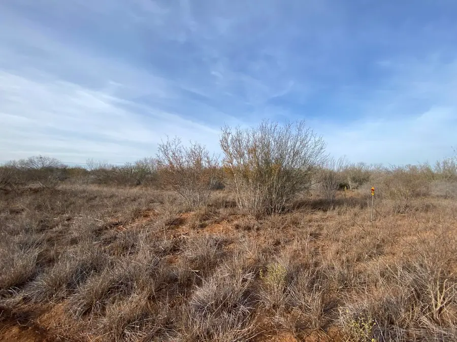 003 Ranch Rd, Encinal, TX 78019 - #3