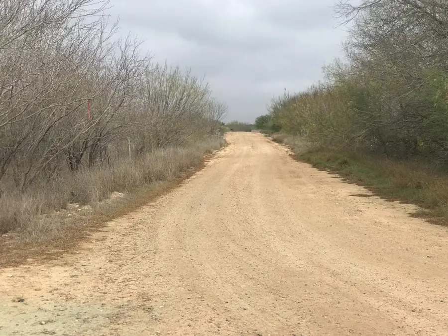005 Ranch Rd, Encinal, TX 78019 - #3