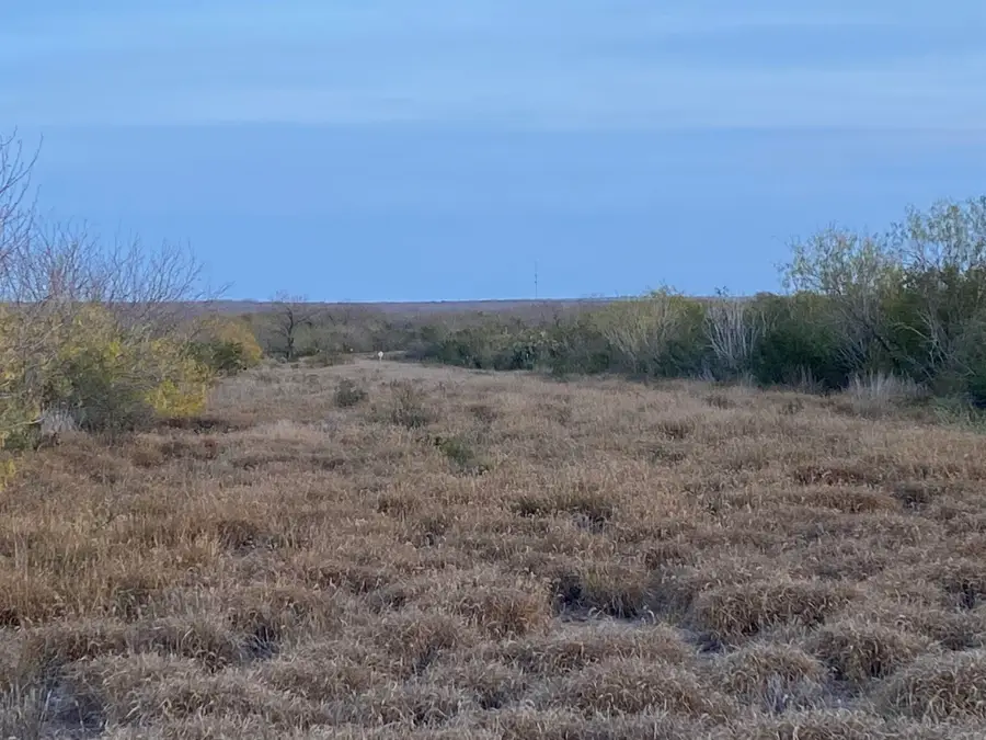 007 Ranch Rd, Encinal, TX 78019 - #2