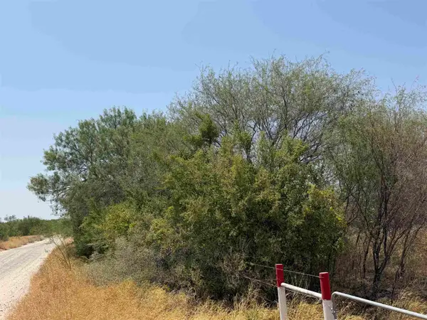 ABST 559 P Bustamante, ZAPATA, TX 78361