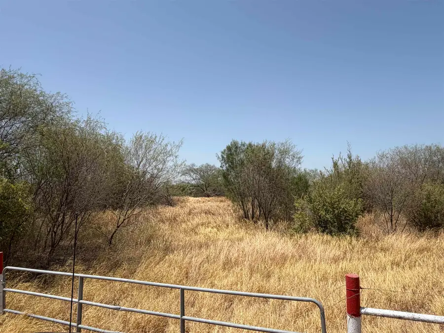 ABST 559 P Bustamante, Zapata, TX 78361 - #3