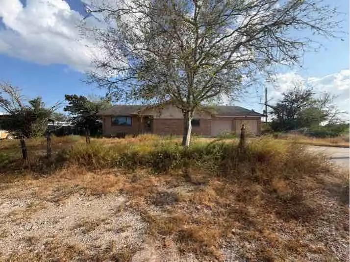 305 Parklane St., Freer, TX 78357 - #1