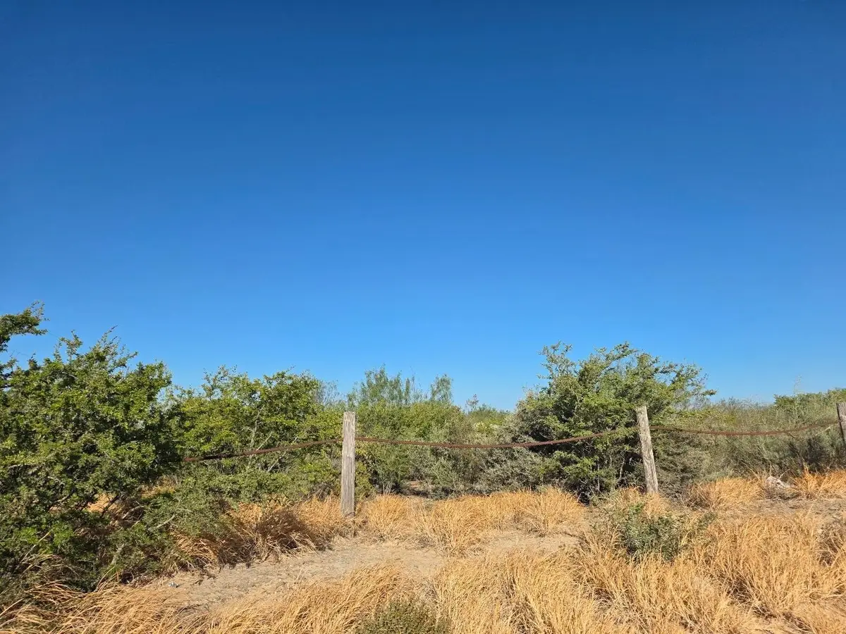 HWY 83 S Mangana-Hein Rd, Laredo, TX 78043 - #1