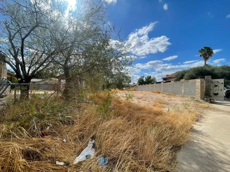 99 Prada-Machin Dr, Laredo, TX 78046 - #3