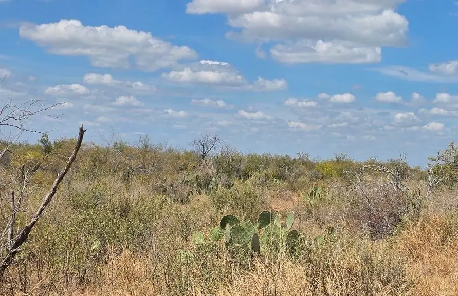 La Cometa Farms Block B 4, Lot 16, Carrizo Springs, TX 78834 - #3