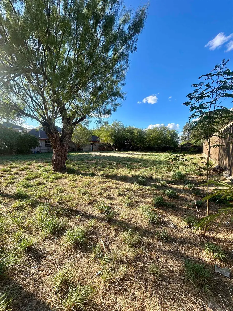 2906 Palo Blanco St, Laredo, TX 78046 - #3