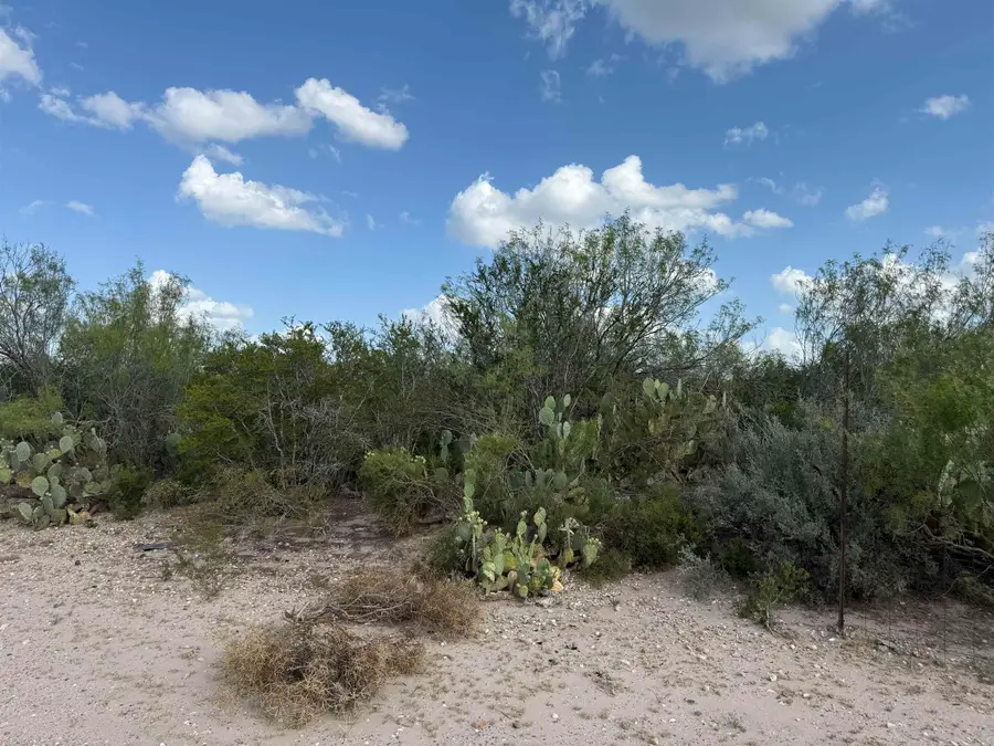 000 Las Pilas Rd., Laredo, TX 78044 - #3