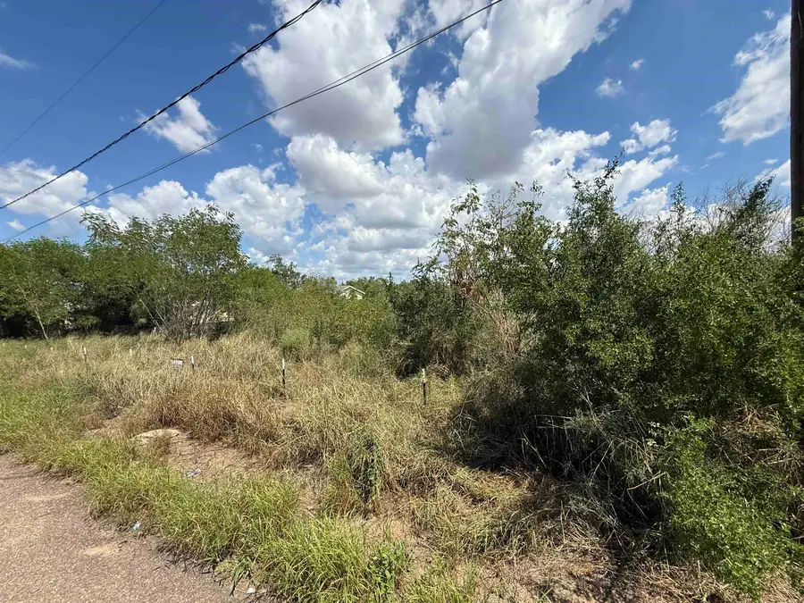 5120 Laredo Ln, Zapata, TX 78076 - #3