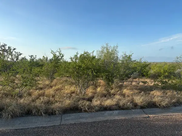 HWY 83 SO/Mangana-Hein Rd., LAREDO, TX 78043