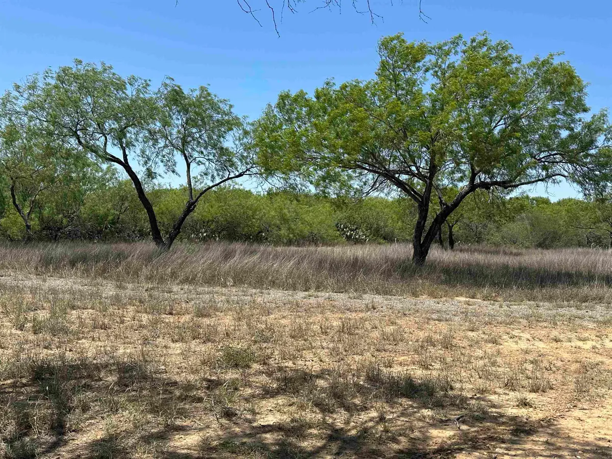 1 Well Ln, Laredo, TX 78045 - #1