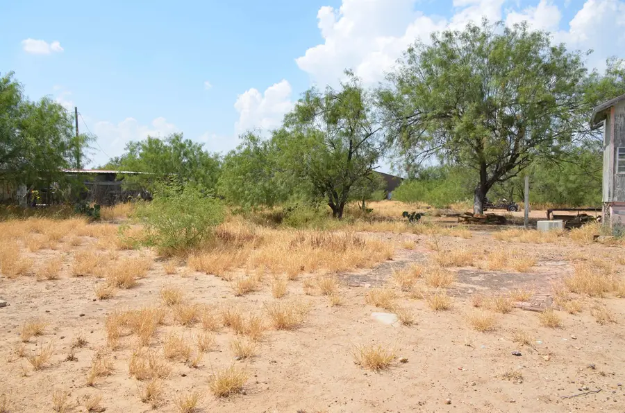 310 Rancho Pila Rd, Laredo, TX 78045 - #3