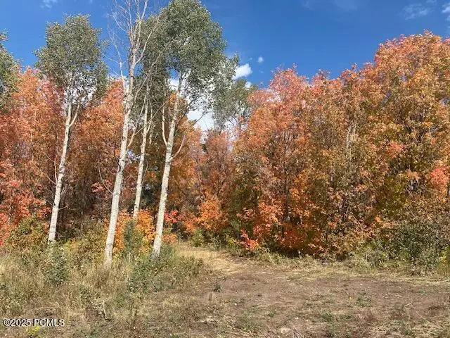 #3