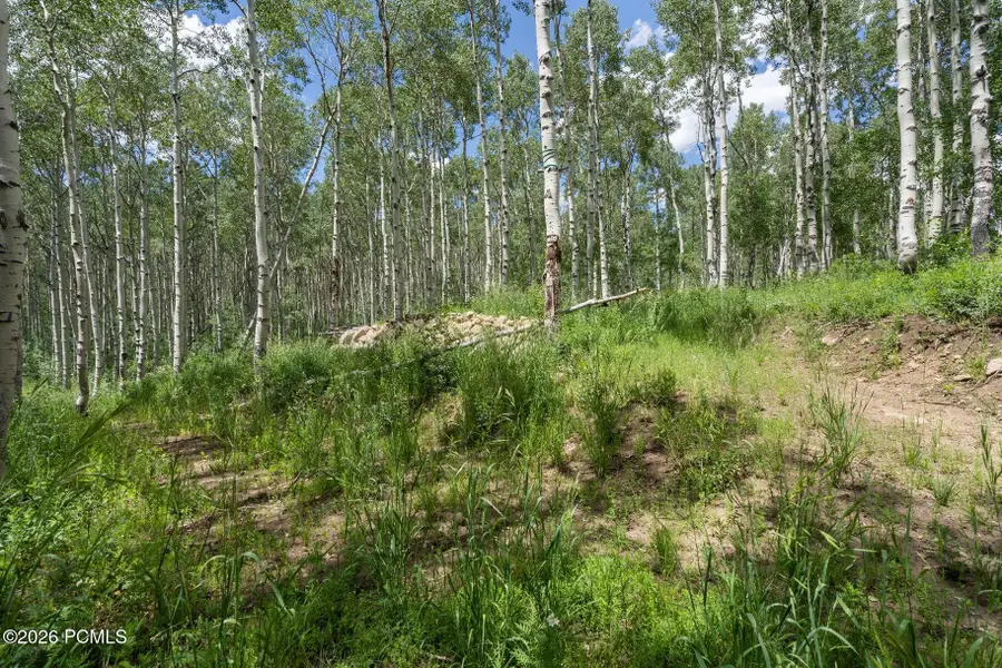 2086 W Bright Star Road, Midway, UT 84049 - #3