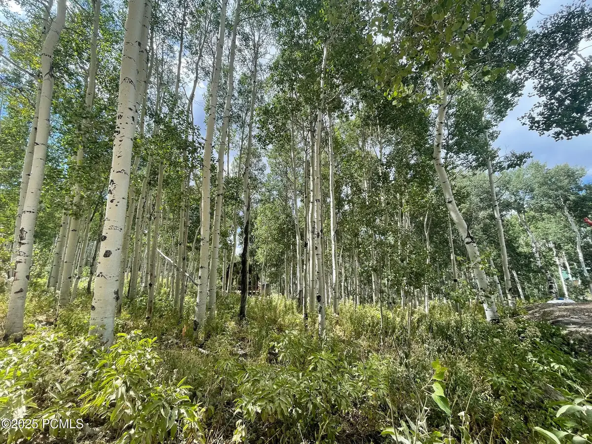 11485 Violet Way, Heber City, UT 84032 - #1