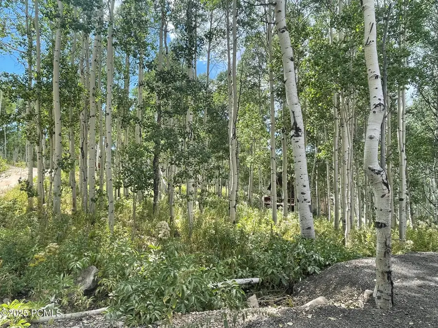 11485 Violet Way, Heber City, UT 84032 - #2