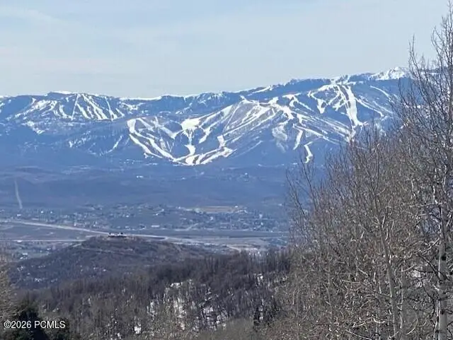 2604 S Forest Meadow Road, Coalville, UT 84017 - #1