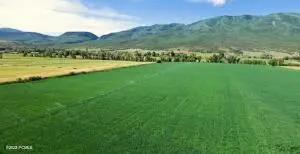 565 E Main Canyon Road, Wallsburg, UT 84082 - #3