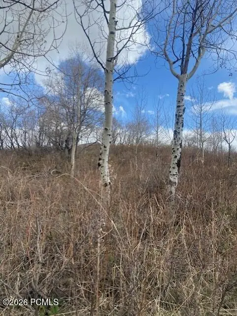 1117 W Arapaho Drive, Coalville, UT 84017