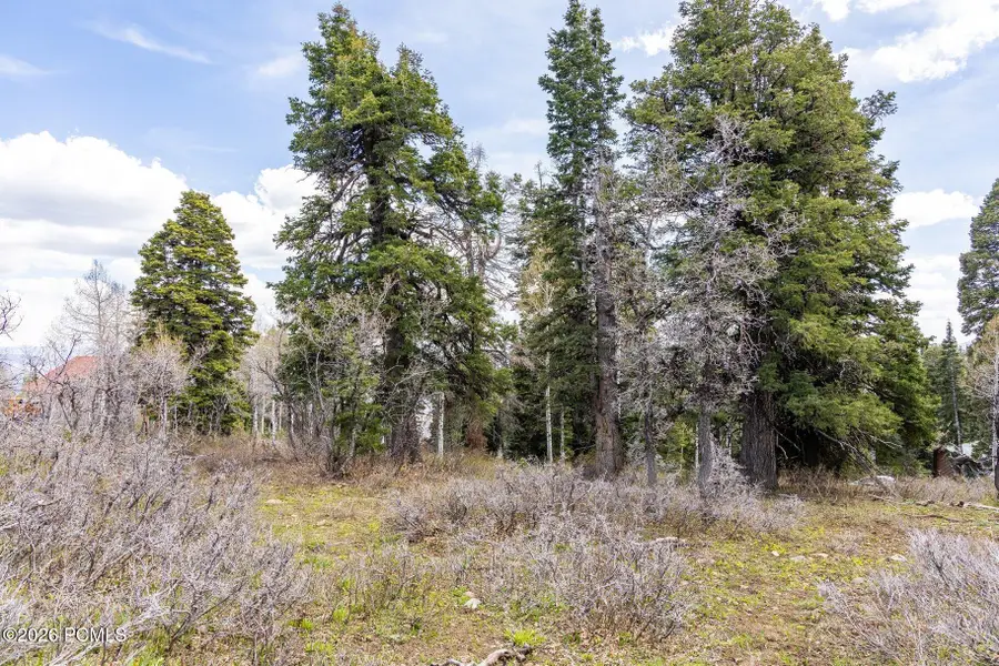 2664 Iroquois Loop, Wanship, UT 84017 - #3