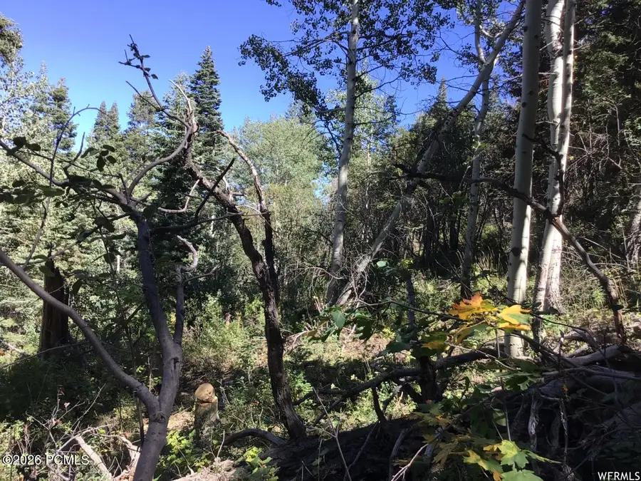 741 W Forgotten Lane, Coalville, UT 84017 - #3