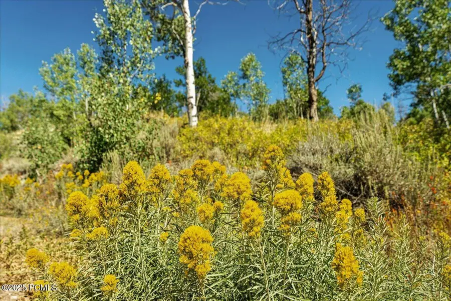 10385 Deer Creek Drive, Heber City, UT 84032 - #2