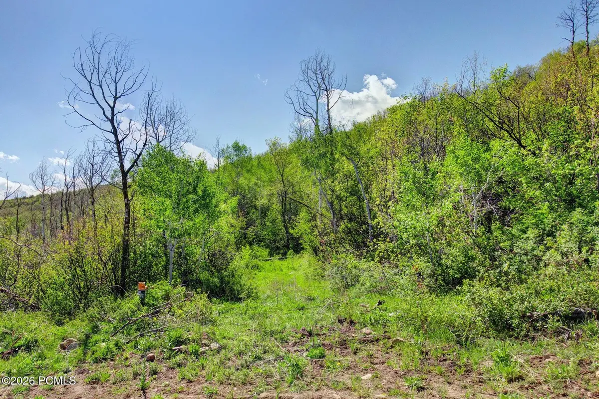 4967 S Woodland Way, Kamas, UT 84036 - #1