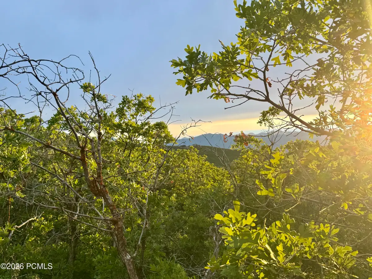 1556 S Tree Top Lane, Heber City, UT 84032 - #1