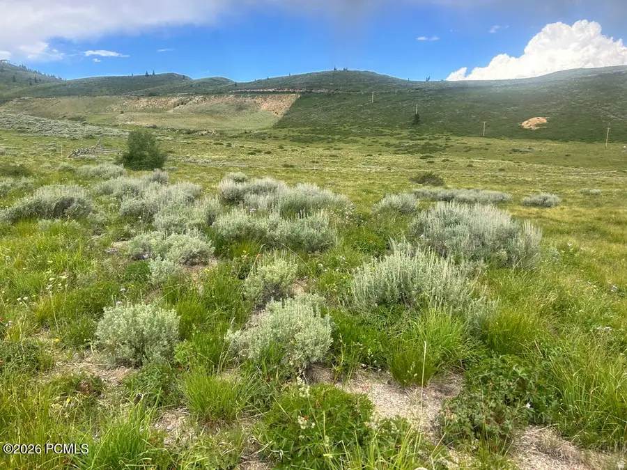 5465 Lone Hill Drive, Midway, UT 84049 - #2