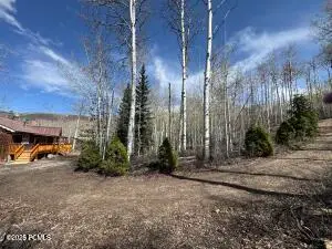 10737 E Tanglewood Drive #Lot 630, Heber City, UT 84032