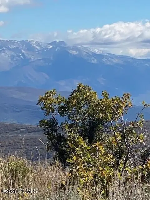 529 W Artist Point Drive, Wanship, UT 84017 - #1