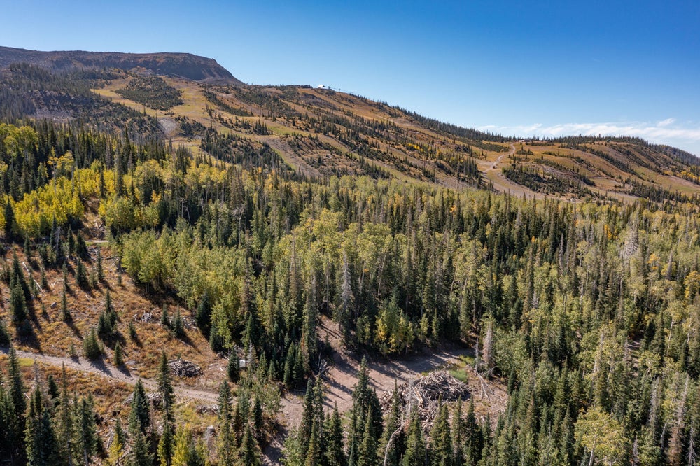 401 Toboggan Ln, Brian Head, UT 84719 BHGRE