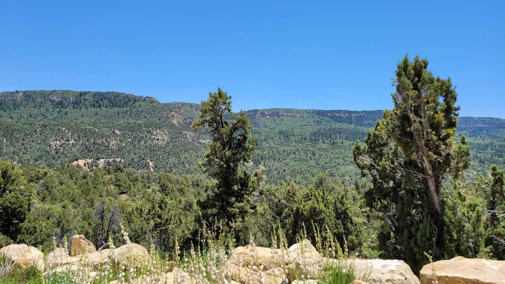 5 Acres Zion Hunting Estates, Duck Creek, UT 84762 BHGRE