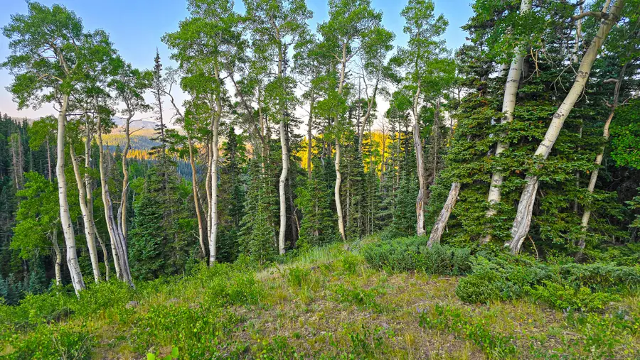 West Village, Beaver, UT 84713 - #2