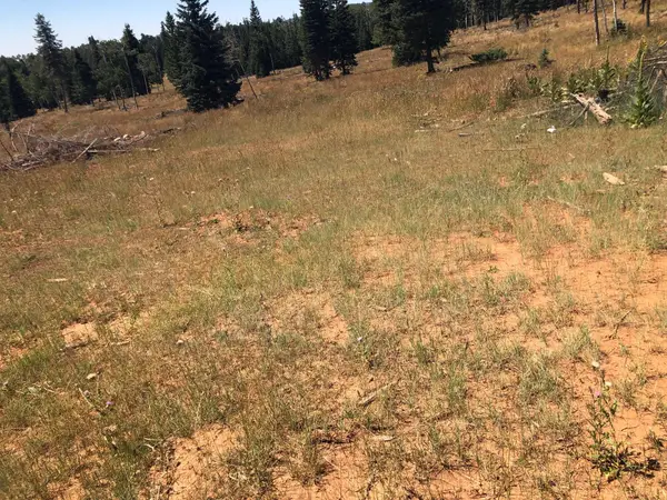 225 Ac S Of Below Navajo Lk/n Fork Rd, Duck Creek, UT 84762