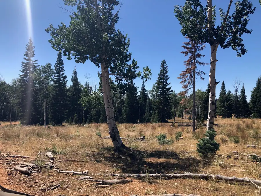 225 Ac S Of Below Navajo Lk/n Fork Rd, Duck Creek Village, UT 84762 - #2