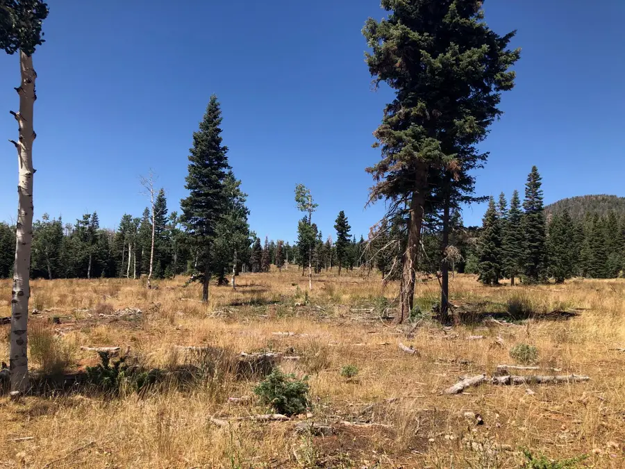 225 Ac S Of Below Navajo Lk/n Fork Rd, Duck Creek Village, UT 84762 - #3